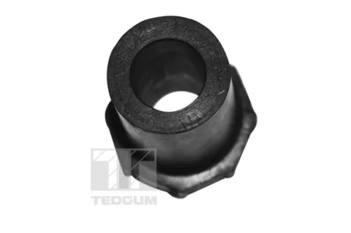 TEDGUM Mounting, leaf spring (00441689)