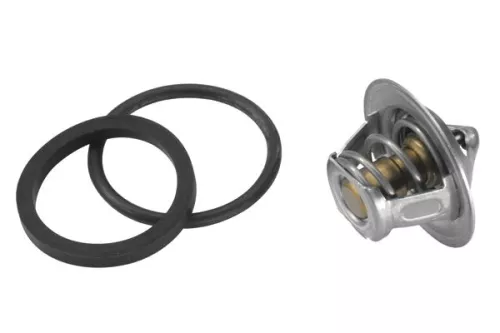 BorgWarner (Wahler) Thermostat, coolant (3017.92D50)