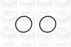 GRAF Water Pump, engine cooling (PA546)