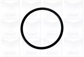 GRAF Water Pump, engine cooling (PA875)