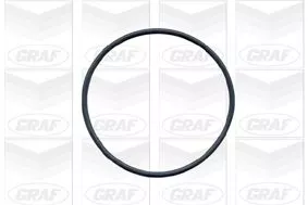 GRAF Water Pump, engine cooling (PA424)