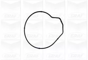 GRAF Water Pump, engine cooling (PA855)