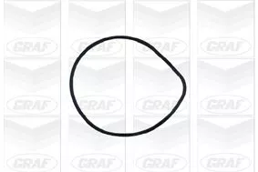 GRAF Water Pump, engine cooling (PA427)