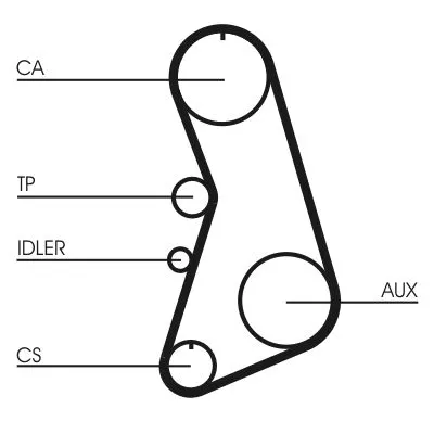 CONTINENTAL CTAM Timing Belt Kit (CT919K1)