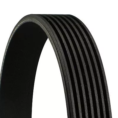 CONTINENTAL CTAM V-ribbed Belt (7PK1570)