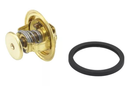 BorgWarner (Wahler) Thermostat, coolant (4022.82D)