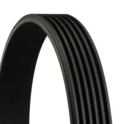 CONTINENTAL CTAM V-ribbed Belt (6PK1900)