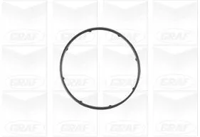 GRAF Water Pump, engine cooling (PA1083)