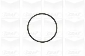 GRAF Water Pump, engine cooling (PA941)