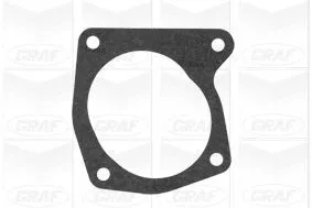 GRAF Water Pump, engine cooling (PA590)