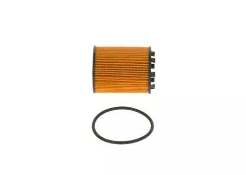 BOSCH Oil Filter (1457429256)