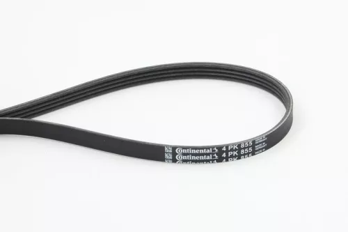 V-ribbed Belt