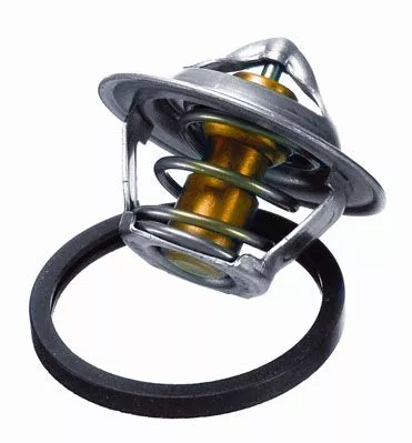 BorgWarner (Wahler) Thermostat, coolant (3017.87D2)