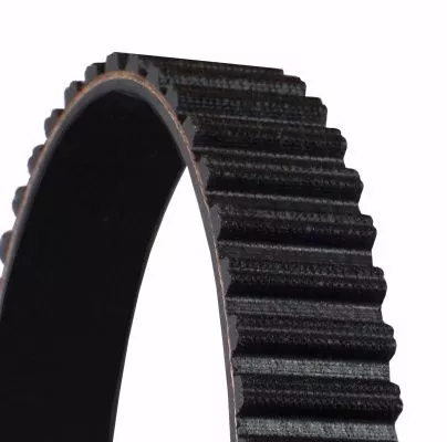 CONTINENTAL CTAM Timing Belt (CT955)