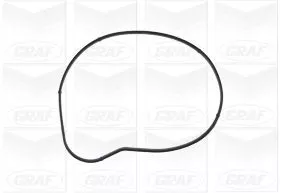 GRAF Water Pump, engine cooling (PA1129)