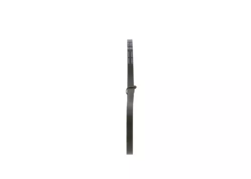 BOSCH V-Belt (1987947683)