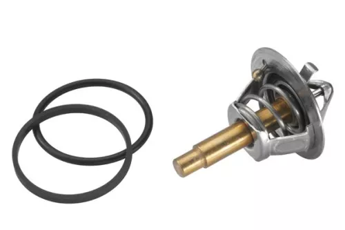 BorgWarner (Wahler) Thermostat, coolant (3457.90D)