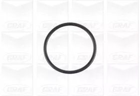GRAF Water Pump, engine cooling (PA1154)