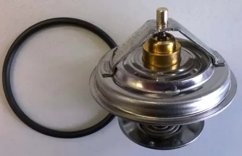 BorgWarner (Wahler) Thermostat, coolant (4105.79D)