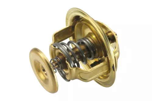 BorgWarner (Wahler) Thermostat, coolant (4126.88)