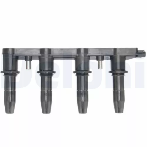 DELPHI Ignition Coil (GN10234-12B1)