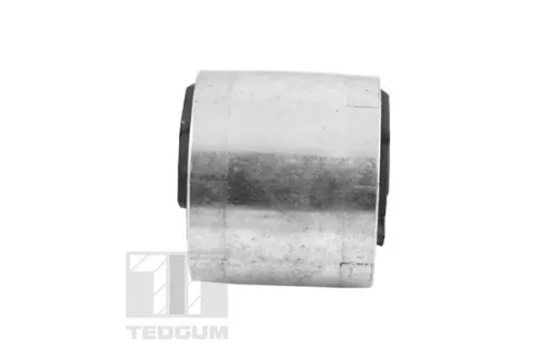 TEDGUM Mounting, control/trailing arm (00084755)