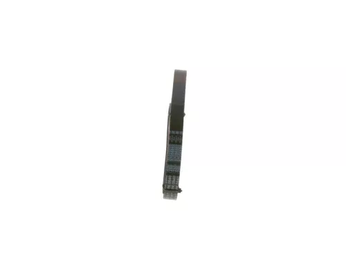 BOSCH V-ribbed Belt (1987947917)