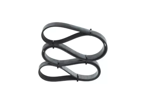 BOSCH V-ribbed Belt (1987946255)