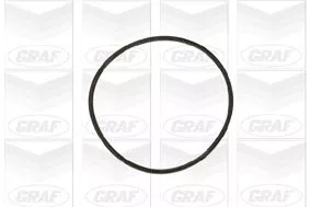 GRAF Water Pump, engine cooling (PA609)