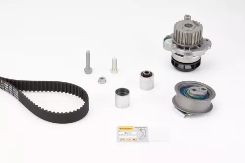Water Pump & Timing Belt Kit