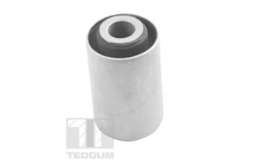 TEDGUM Mounting, leaf spring (00506437)