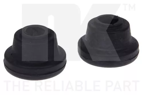 Mounting, control/trailing arm