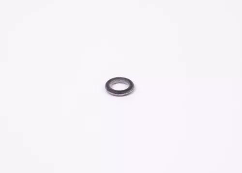 BOSCH Seal Ring (1900210105)