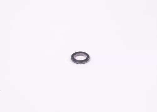 BOSCH Seal Ring (1900210105)
