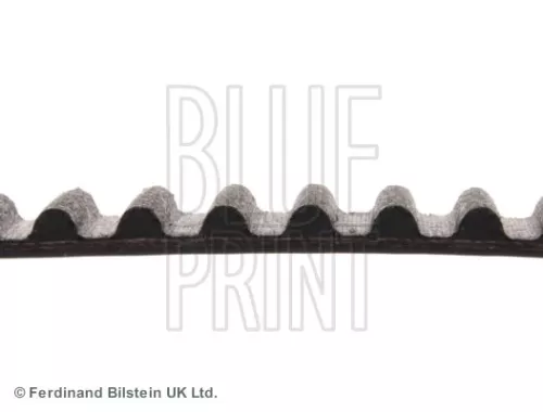 BLUE PRINT Timing Belt (ADM57526)