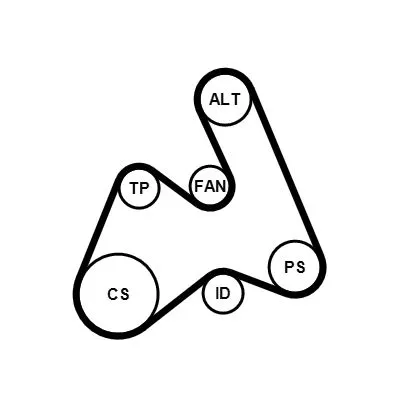 CONTINENTAL CTAM V-ribbed Belt Set (5PK1592K1)