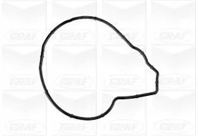 GRAF Water Pump, engine cooling (PA1277)