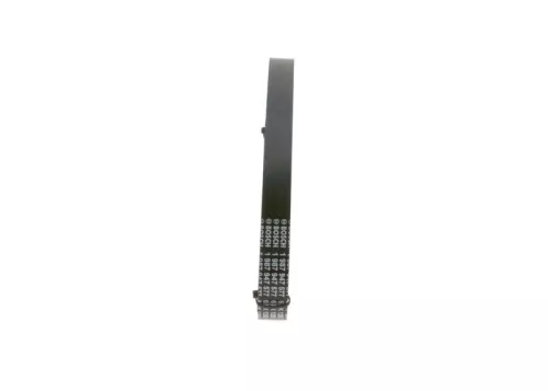 BOSCH V-ribbed Belt (1987947577)