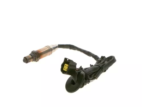 Oxygen Sensor