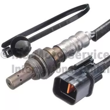 Oxygen Sensor