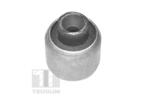 TEDGUM Mounting, control/trailing arm (TED61923)