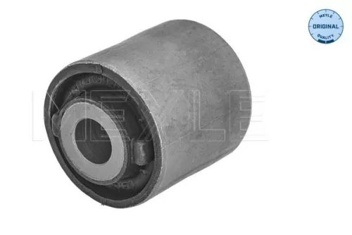 Mounting, control/trailing arm