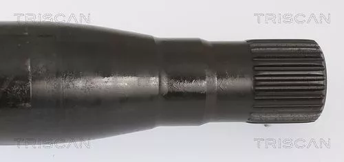 TRISCAN Wheel Bearing Kit (853023237)