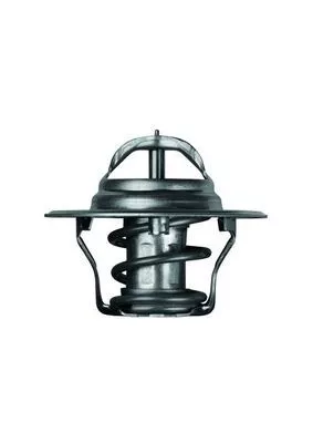 MAHLE Thermostat, coolant (TX492D)