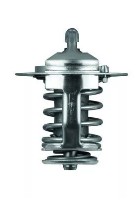 MAHLE Thermostat, coolant (TX7082)