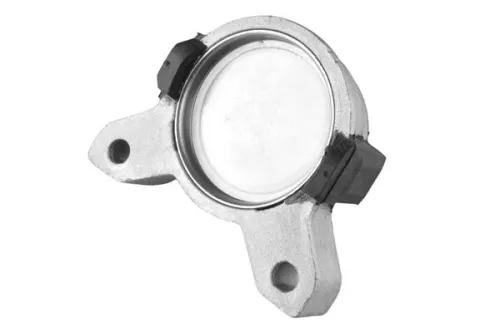 TEDGUM Link/Coupling Rod, stabiliser bar (00224844)