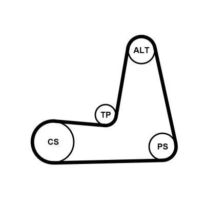 CONTINENTAL CTAM V-ribbed Belt Set (5PK1110K1)