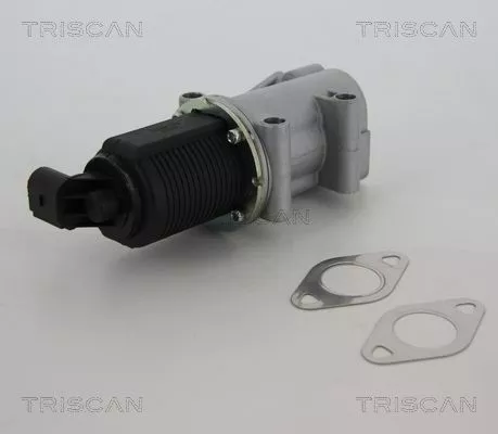TRISCAN EGR Valve (881310015)
