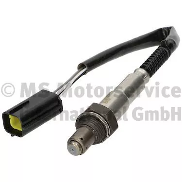 Oxygen Sensor