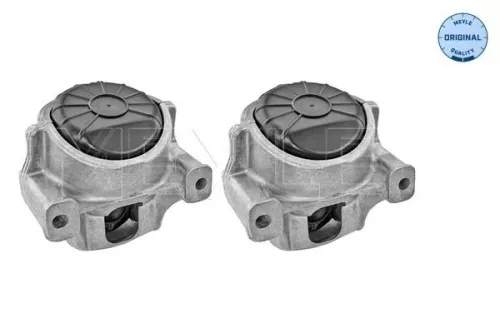 MEYLE Mounting, engine (1001991401/S)